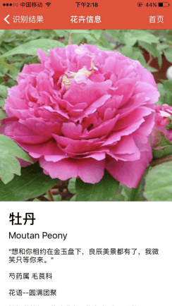 微軟這款深度學習技術APP特供中文用戶, 不聯網就可以識別花朵(4)