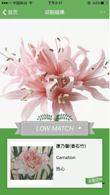 微软这款深度学习技术APP特供中文用户, 不联网就可以识别花朵(7)