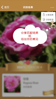 微软这款深度学习技术APP特供中文用户, 不联网就可以识别花朵(8)