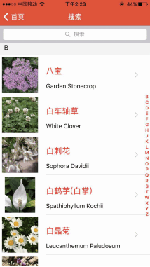 微軟這款深度學習技術APP特供中文用戶, 不聯網就可以識別花朵(9)