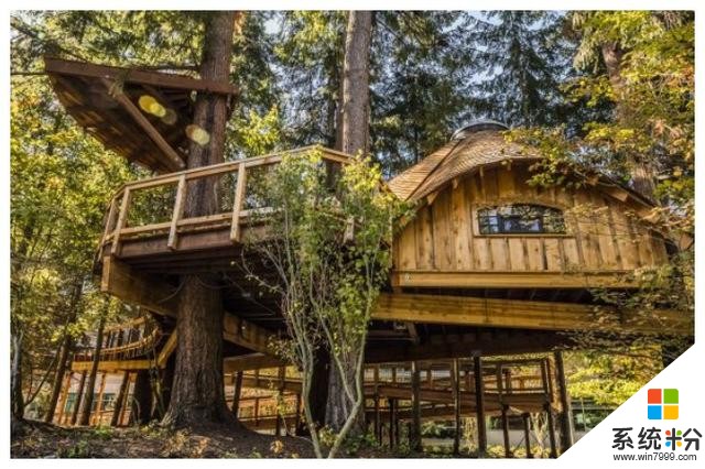 微软福利不一般，给员工在森林造房子，3间树屋充满特点！(2)