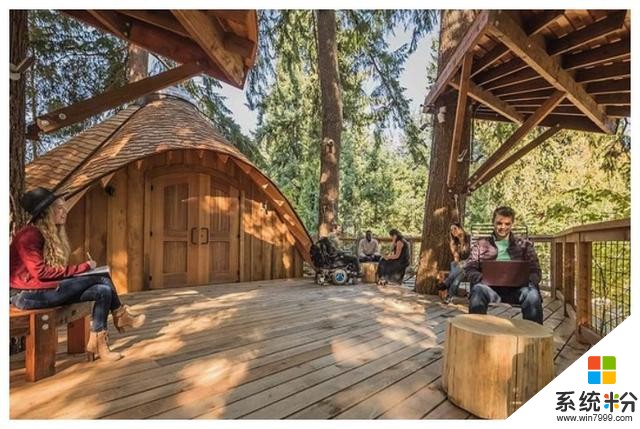 微软福利不一般，给员工在森林造房子，3间树屋充满特点！(4)