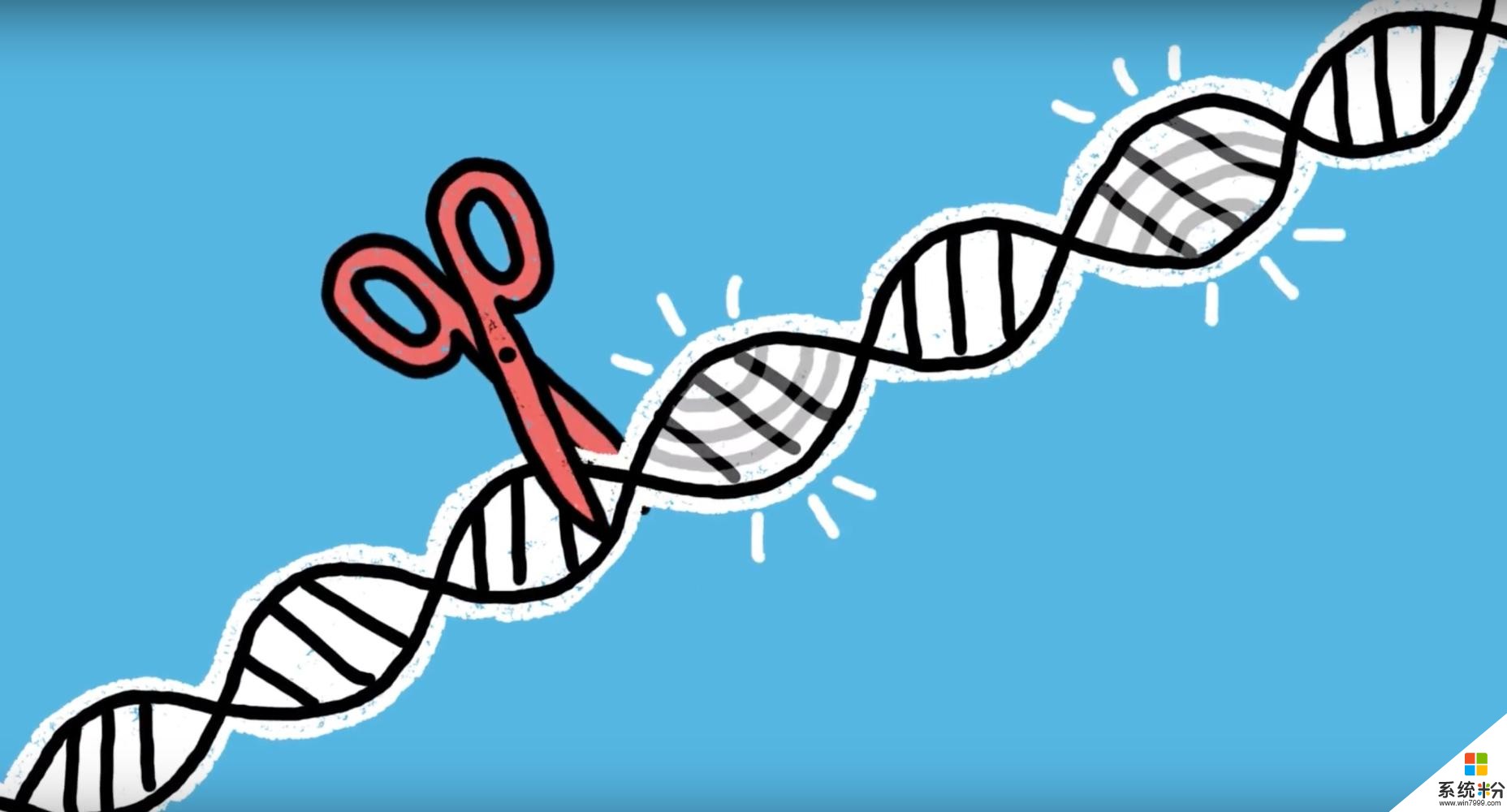 微软正使用AI来提高CRISPR的准确性(1)