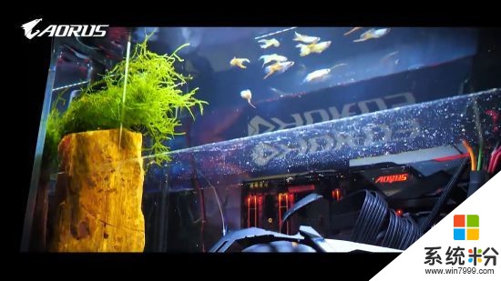 大神打造水族箱PC主機 機箱“泡水”還能養魚(7)