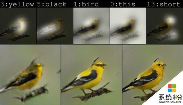 Google AI还只懂涂鸦时 微软人工智能已经学会如何画鸟(2)