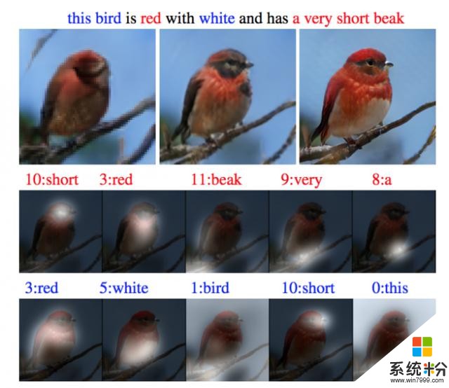 Google AI还只懂涂鸦时 微软人工智能已经学会如何画鸟(4)