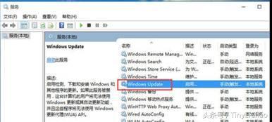 Windows 10永久关闭自动更新的方法，你一定需要(7)