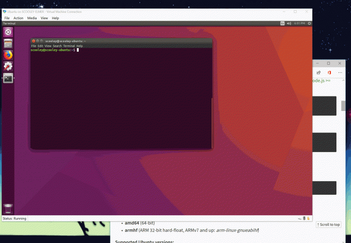 [图]微软和Canonical合作增强Ubuntu 18.04的虚拟机体验(2)