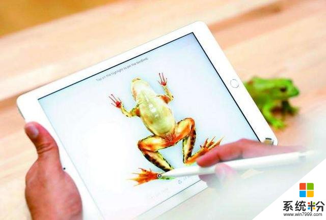 微软拟推出“低成本平板”较劲iPad(1)