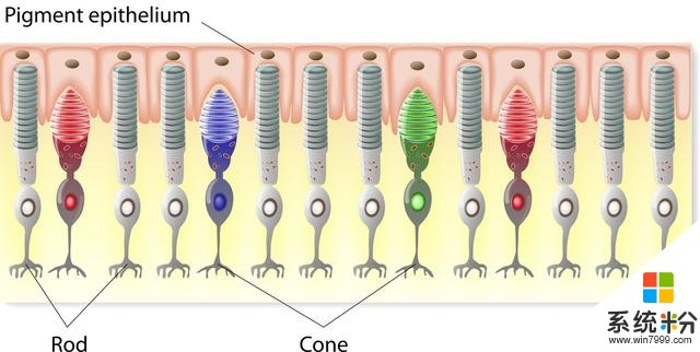 苹果、微软、科幻电影，为什么科技产品总喜欢用蓝色？(5)