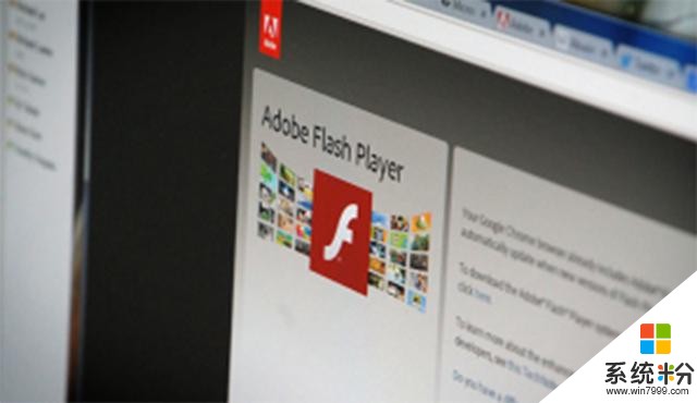 乔布斯说Flash是bug般的存在！Adobe穷途末路才学微软停更Flash(5)
