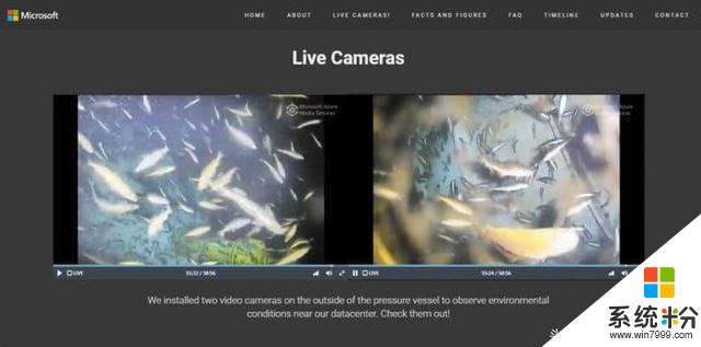 Microsoft 海底数据中心添加摄像头，直播海底变睇鱼！(2)