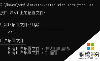 Win10中的WLAN设置打不开怎么办(4)