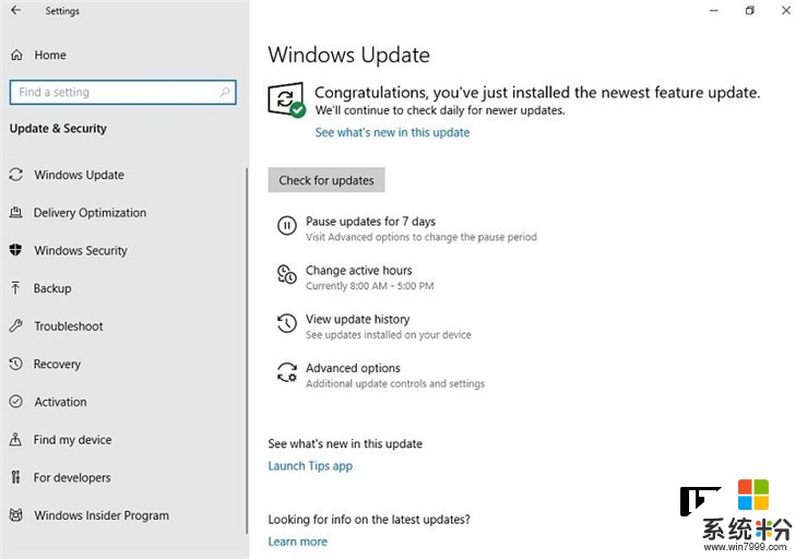微軟19H1驚喜，Windows 10家庭版終於可暫停更新(3)