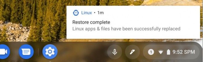 [圖]Chrome OS開發者版現可備份和恢複Linux容器(2)
