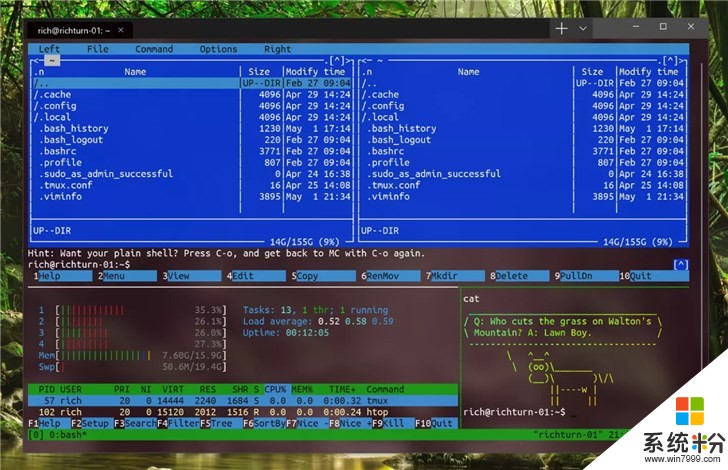 微软发布Windows Terminal命令行终端工具：支持多标签、主题(1)