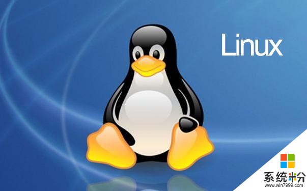 更新频繁的Win10系统，过度自由的Linux系统，你选哪个？(4)