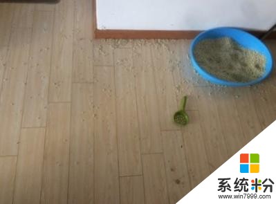 小米真牛！推出299元智能"猫厕所"，除臭率96%，猫奴：铲屎无压力(3)