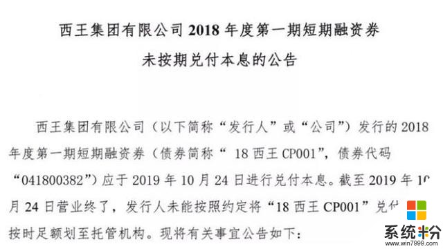 A档案｜西王集团债务危机发酵：18亿债券违约，董事长王勇的兑付承诺被打破，旗下三家上市公司净利断崖式下滑(2)