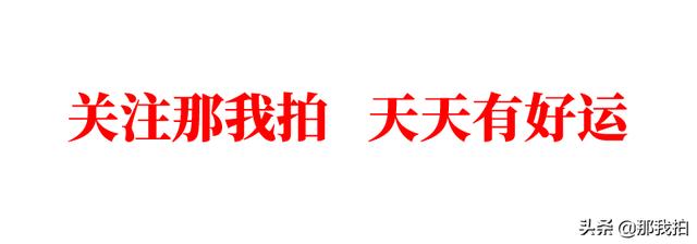 計算機畢業沒有工作經驗怎麼辦？微軟Github專治沒工作經驗(9)