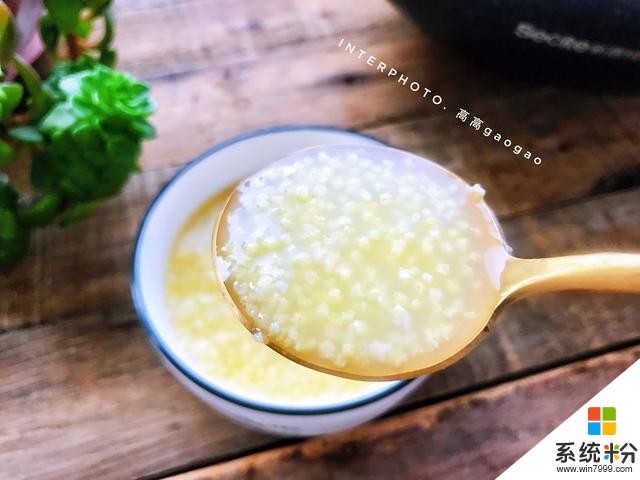 老媽熬製了幾十年的小米粥，輕鬆熬出小米油，方法簡單實用還滋補(11)