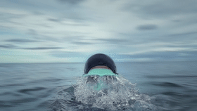 潜水纪录片《无际蓝》出炉，全程使用华为Mate30Pro拍摄(5)