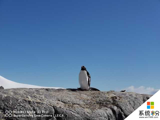 天生耐寒华为Mate30Pro深入南极14天完美记录冰川之美(4)
