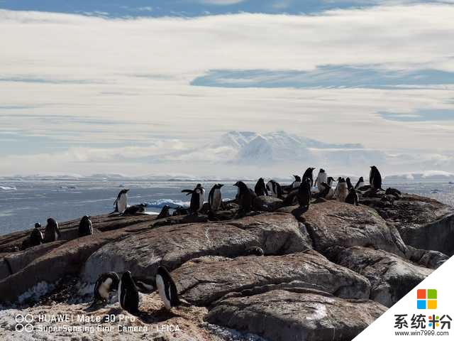 天生耐寒华为Mate30Pro深入南极14天完美记录冰川之美(5)