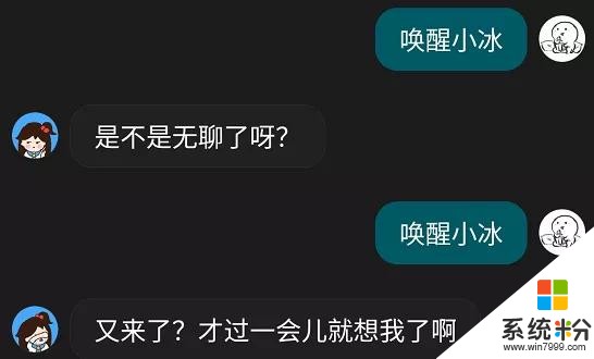 微软要给你发对象了？(11)