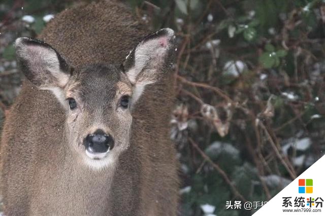 拍照時，不易察覺的9個“硬傷”：微小，但“致命”(20)