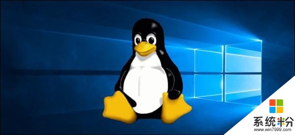 Win10第二代Linux子系统WSL2将随v2004正式版上线(2)