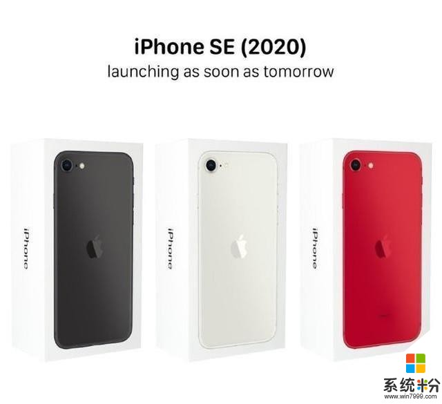 苹果iPhoneSE2020发布在即，这次不用卖肾了(1)
