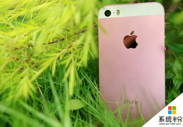 iPhone9或于15日正式发布，苹果A13+圆形指纹，售价依旧感人！(1)