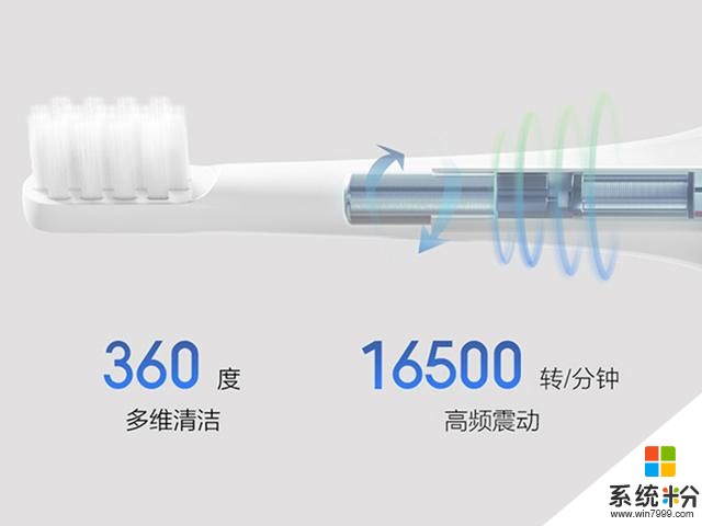 16500次震动每分钟+防水，不到40的小米产品，带给口腔新体验(4)