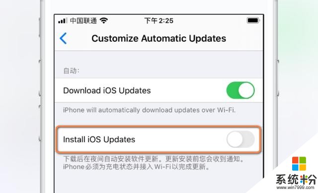 iOS终于有这个功能，可以关闭自动更新(3)