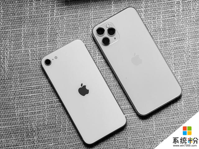 誰才算蘋果“真小屏旗艦”？iPhone12尺寸橫向對比SE/7/X/11/SE 2(6)