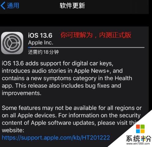 iOS 13.6 GM 和 iOS 14 公测版，依然可越狱(9)