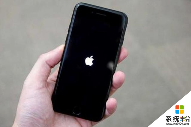 支持华为只是口号！iPhone最新销量曝光，网友：怎么会差这么多？(3)
