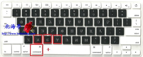 求问键盘的复制键是什么