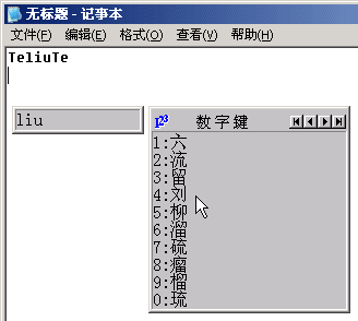 求解在电脑上如何打汉字