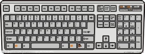 想知道电脑键盘字母是按什么顺序排列的
