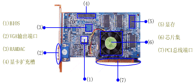 求问各位亲电脑显卡是什么形状