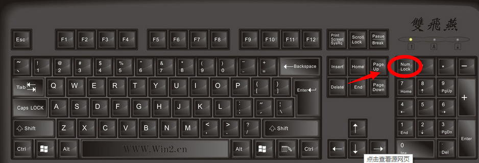 电脑数字键盘方向键要怎么变回来？