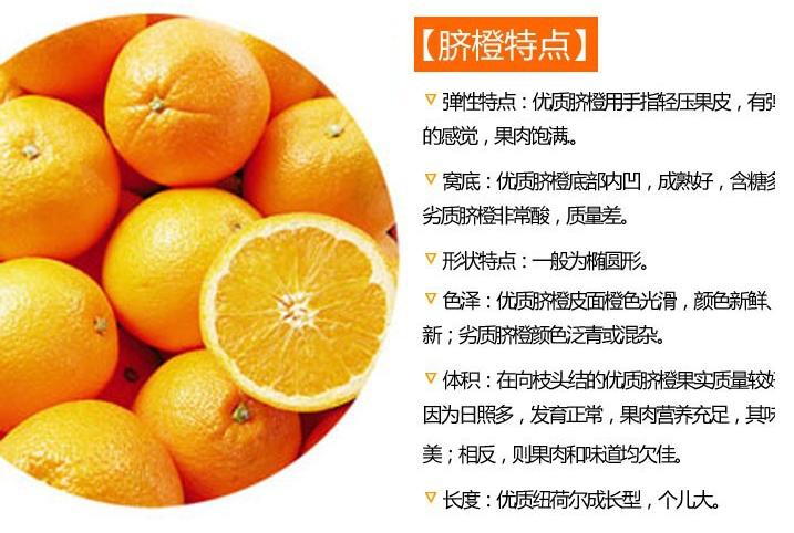 没注册可以直接在中国脐橙交易网直接报价吗？