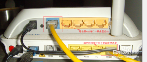 wan端口是什么知道的告诉下