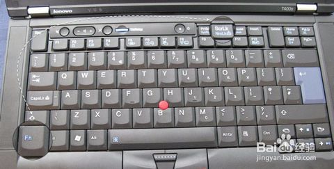哪位說說筆記本鍵盤字母數字怎麼切換