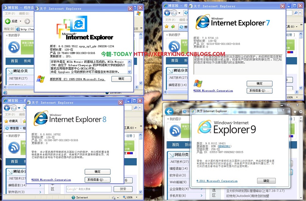win7支持ie6嗎誰能告訴我