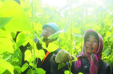 大连哪里修电脑好了解的说下