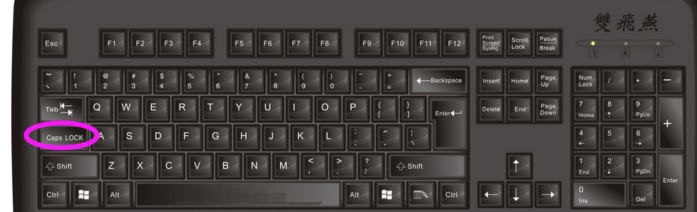 请教下小键盘上的数字键怎么打开？