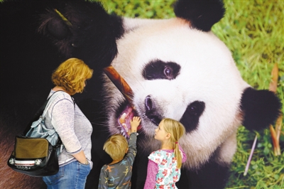 看到大熊猫能提出什么问题